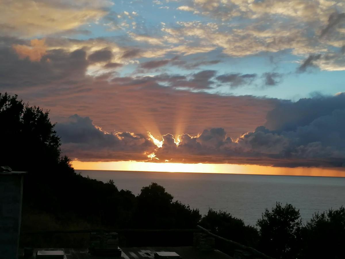Coin De Paradis Vue Dominante Sur Mer, Montagne Et Tour Genoise Avec Jacuzzi Pino Exterior foto